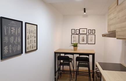 BOUTIQUE Apartment AVE Centro Lleida - Foto 12