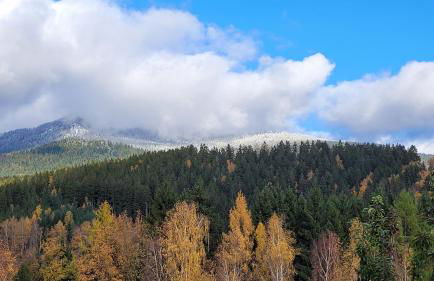 Lieblingsplatz - Foto 23