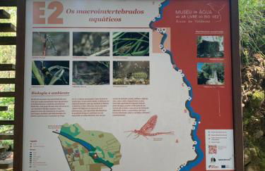 Casinha do Riacho - Foto 18