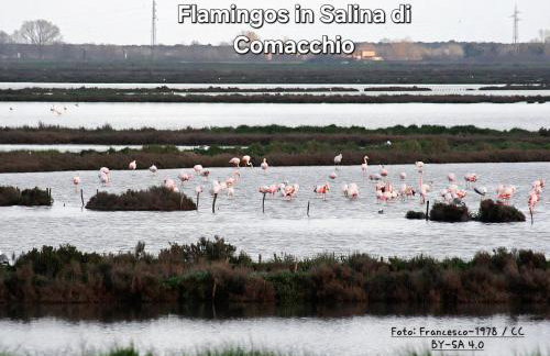 Ca' Elena - Foto 37
