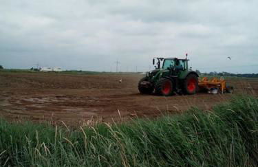Ferienhaus Rosengarten - Foto 11