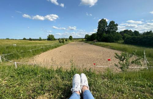 Stajnia Lipowo 45 - Foto 20