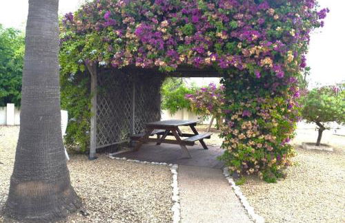 Beachfront, First line, 2-Bdr,2-Bath, Swiming Pool - Photo 30