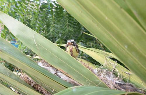 MelBliss Gostoso - Foto 77