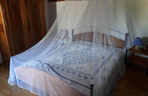 Lou Cabanis - Foto 3