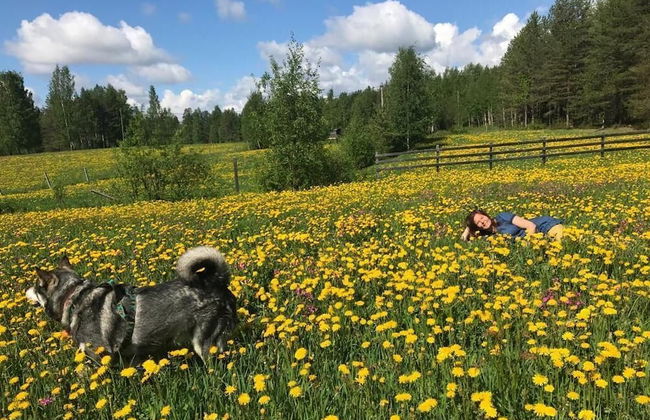 Lentiira Holiday Village - Foto 32