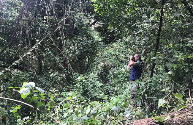 Finca El Tambor - Foto 38