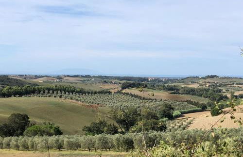 In piazza Casale Marittimo - Foto 25