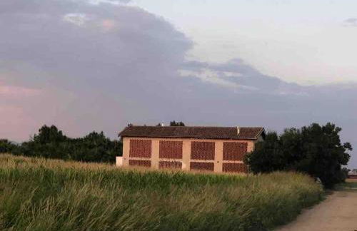 CASA RURAL EN BOSQUE DE PALMERAS - Foto 11