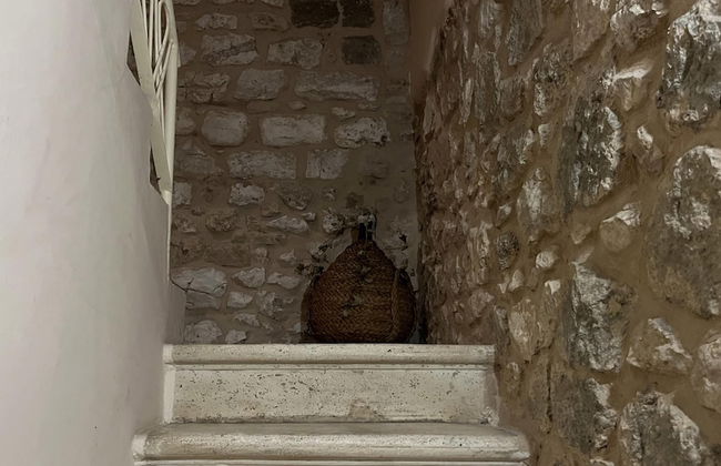 Casa Torre Metabo in Villa Santo Stefano - Foto 52