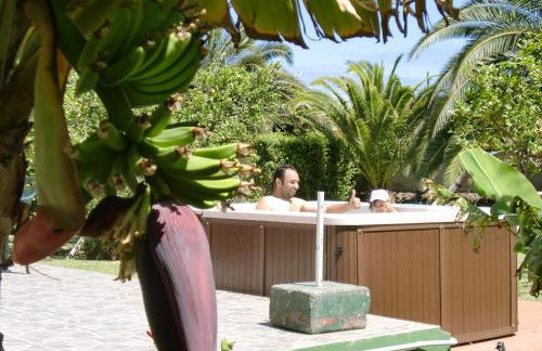 Finca La Gaviota - Los Limoneros - Foto 37