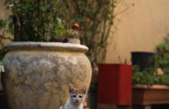 NYX Guesthouse - Photo 60