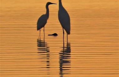 Tratturo dei Greci, biocasa vacanza - Foto 28