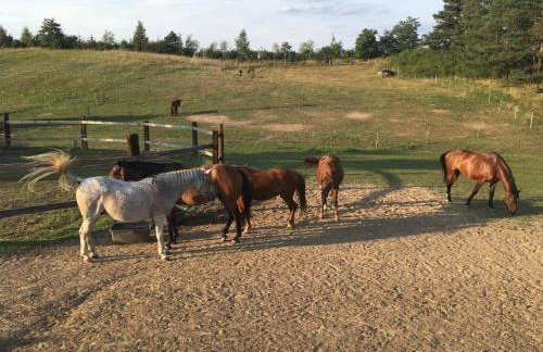 Toskania Kociewska - Photo 54