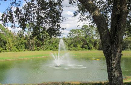 Luxurious 7BR Home Near DisneyPoolTheatreGame Room - Foto 59