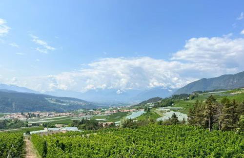 Agritur Maso Forcola - Photo 8