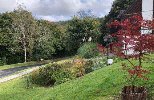 8 Oakridge, St Mellion - Photo 26