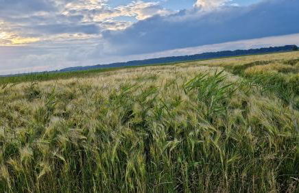 Ferienwohnung Balzereit - Foto 4
