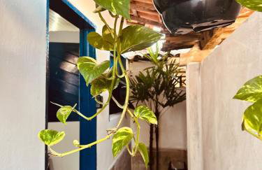 Suite Canoa Azul 2 - Photo 18