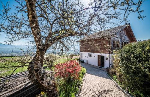 Les Hortensias - Foto 18