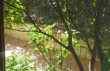 Villa Eftichia - Photo 48