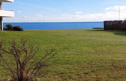 Haus Berlin Wohnung 105 - Foto 13