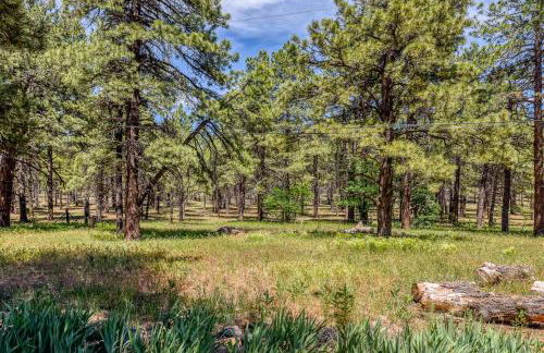 Gorgeous Historic 3 BR Log Cabin w Forest Views 20 Minutes from Flagstaff Now with Wi-Fi - Foto 31