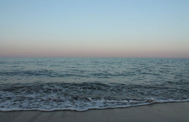 Kumbağ Green Garden Pansiyon - Foto 24