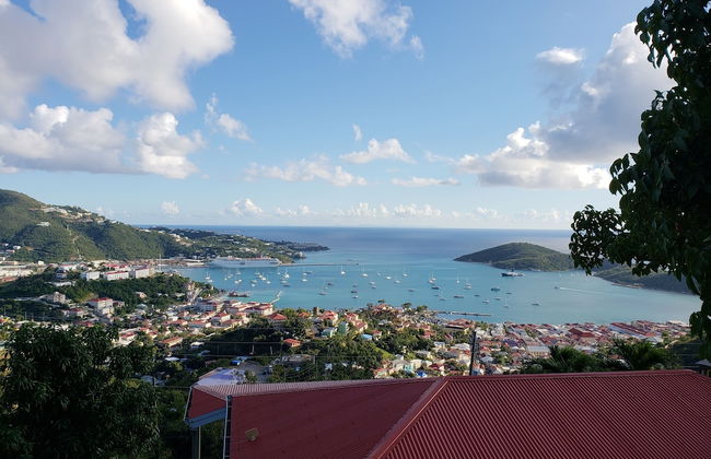 Little Indigo Apartments - Photo 43