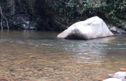 Praias Ubatuba SP - Foto 15