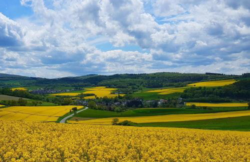 Ferienwohnung Himmel, Wald & Wiese - Foto 17