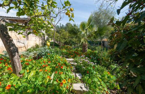 Construcciones Balaguer - Foto 47