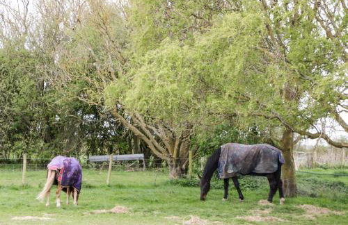 Owls Retreat - Foto 27