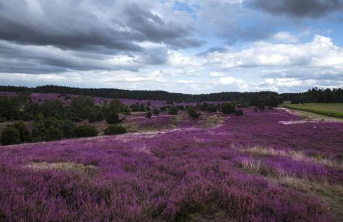 Ferienwohnung Heide View - Foto 23
