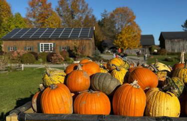 Paradise Island escape Riverfront in Clay, NY - Foto 19