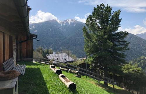 LA VOCE DEL BOSCO Selva di Cadore - Foto 2