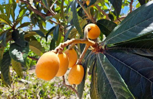 Studio Popi - Foto 16