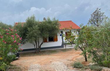 Apartman Ruža - Photo 52