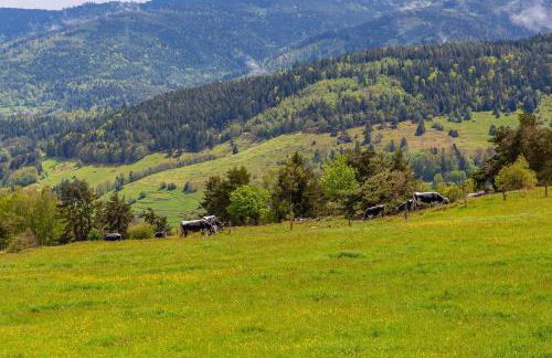 appartement Vintage a l ancienne forge - Foto 55