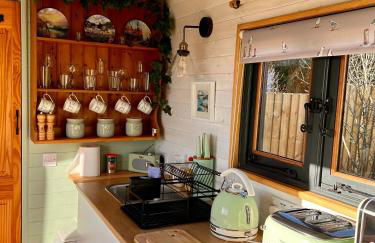 Fry’s Carriage - Foto 25