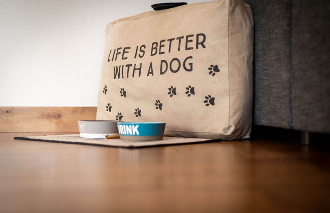 Lake Tahoe Chalet - Foto 2