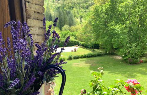 Relax totale nel Bosco Lucca - Foto 32