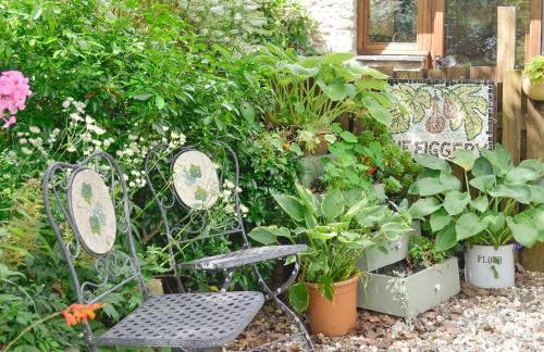 The Figgery - Foto 12