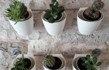 Leut Apartment - Photo 26