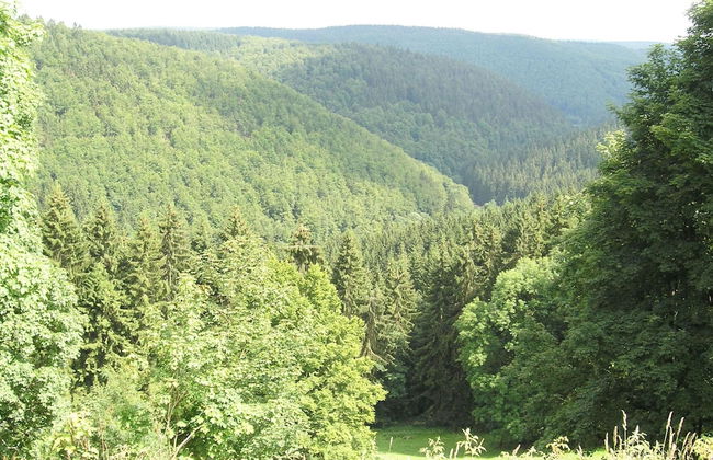 Einladende Ferienwohnung mit Garten - Foto 22