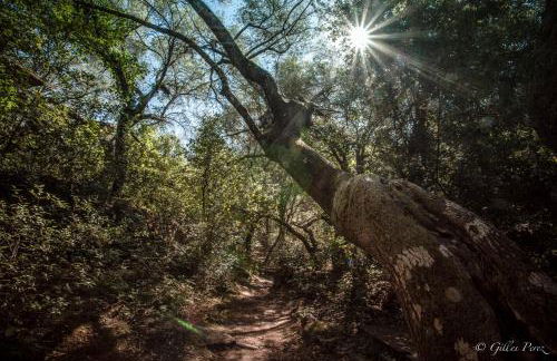 Résidence Marina Livia - Foto 7