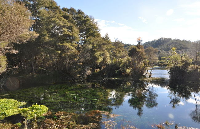 Adrift In Golden Bay - Foto 41