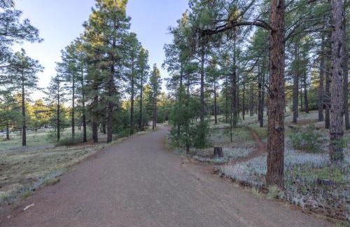 The Mountain Magnolia - Photo 60