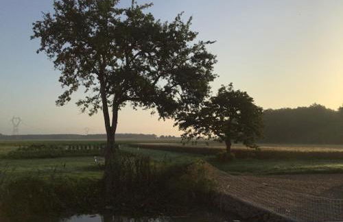 Gîte entre Loire et Campagne - Photo 27