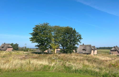 Reetdorf Geltinger Birk Malerhaus Eichenwald - Foto 2